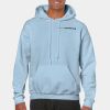 Heavy Blend Adult Hooded Sweatshirt Thumbnail
