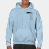Heavy Blend Adult Hooded Sweatshirt Thumbnail