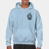 Heavy Blend Adult Hooded Sweatshirt Thumbnail
