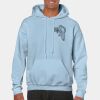 Heavy Blend Adult Hooded Sweatshirt Thumbnail