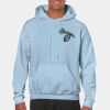 Heavy Blend Adult Hooded Sweatshirt Thumbnail