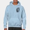 Heavy Blend Adult Hooded Sweatshirt Thumbnail