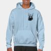 Heavy Blend Adult Hooded Sweatshirt Thumbnail