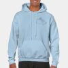 Heavy Blend Adult Hooded Sweatshirt Thumbnail