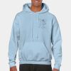 Heavy Blend Adult Hooded Sweatshirt Thumbnail