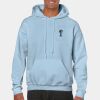 Heavy Blend Adult Hooded Sweatshirt Thumbnail