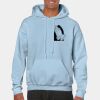 Heavy Blend Adult Hooded Sweatshirt Thumbnail