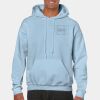 Heavy Blend Adult Hooded Sweatshirt Thumbnail