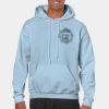Heavy Blend Adult Hooded Sweatshirt Thumbnail