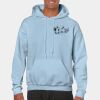 Heavy Blend Adult Hooded Sweatshirt Thumbnail