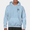 Heavy Blend Adult Hooded Sweatshirt Thumbnail