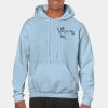 Heavy Blend Adult Hooded Sweatshirt Thumbnail