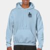 Heavy Blend Adult Hooded Sweatshirt Thumbnail