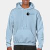 Heavy Blend Adult Hooded Sweatshirt Thumbnail