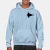Heavy Blend Adult Hooded Sweatshirt Thumbnail