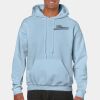 Heavy Blend Adult Hooded Sweatshirt Thumbnail