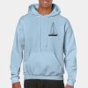 Heavy Blend Adult Hooded Sweatshirt Thumbnail