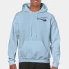 Heavy Blend Adult Hooded Sweatshirt Thumbnail