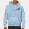 Heavy Blend Adult Hooded Sweatshirt Thumbnail