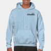 Heavy Blend Adult Hooded Sweatshirt Thumbnail