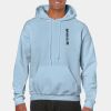 Heavy Blend Adult Hooded Sweatshirt Thumbnail