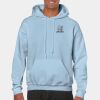 Heavy Blend Adult Hooded Sweatshirt Thumbnail