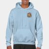 Heavy Blend Adult Hooded Sweatshirt Thumbnail