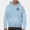 Heavy Blend Adult Hooded Sweatshirt Thumbnail