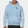 Heavy Blend Adult Hooded Sweatshirt Thumbnail