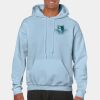 Heavy Blend Adult Hooded Sweatshirt Thumbnail