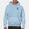 Heavy Blend Adult Hooded Sweatshirt Thumbnail