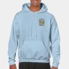 Heavy Blend Adult Hooded Sweatshirt Thumbnail