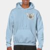 Heavy Blend Adult Hooded Sweatshirt Thumbnail