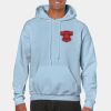 Heavy Blend Adult Hooded Sweatshirt Thumbnail