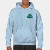 Heavy Blend Adult Hooded Sweatshirt Thumbnail