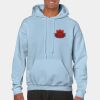 Heavy Blend Adult Hooded Sweatshirt Thumbnail