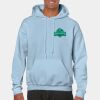 Heavy Blend Adult Hooded Sweatshirt Thumbnail