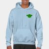 Heavy Blend Adult Hooded Sweatshirt Thumbnail