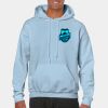 Heavy Blend Adult Hooded Sweatshirt Thumbnail
