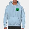 Heavy Blend Adult Hooded Sweatshirt Thumbnail