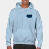 Heavy Blend Adult Hooded Sweatshirt Thumbnail