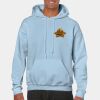Heavy Blend Adult Hooded Sweatshirt Thumbnail
