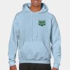 Heavy Blend Adult Hooded Sweatshirt Thumbnail