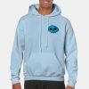 Heavy Blend Adult Hooded Sweatshirt Thumbnail