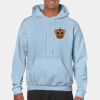 Heavy Blend Adult Hooded Sweatshirt Thumbnail