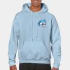Heavy Blend Adult Hooded Sweatshirt Thumbnail