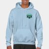 Heavy Blend Adult Hooded Sweatshirt Thumbnail