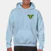 Heavy Blend Adult Hooded Sweatshirt Thumbnail