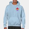 Heavy Blend Adult Hooded Sweatshirt Thumbnail
