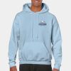 Heavy Blend Adult Hooded Sweatshirt Thumbnail